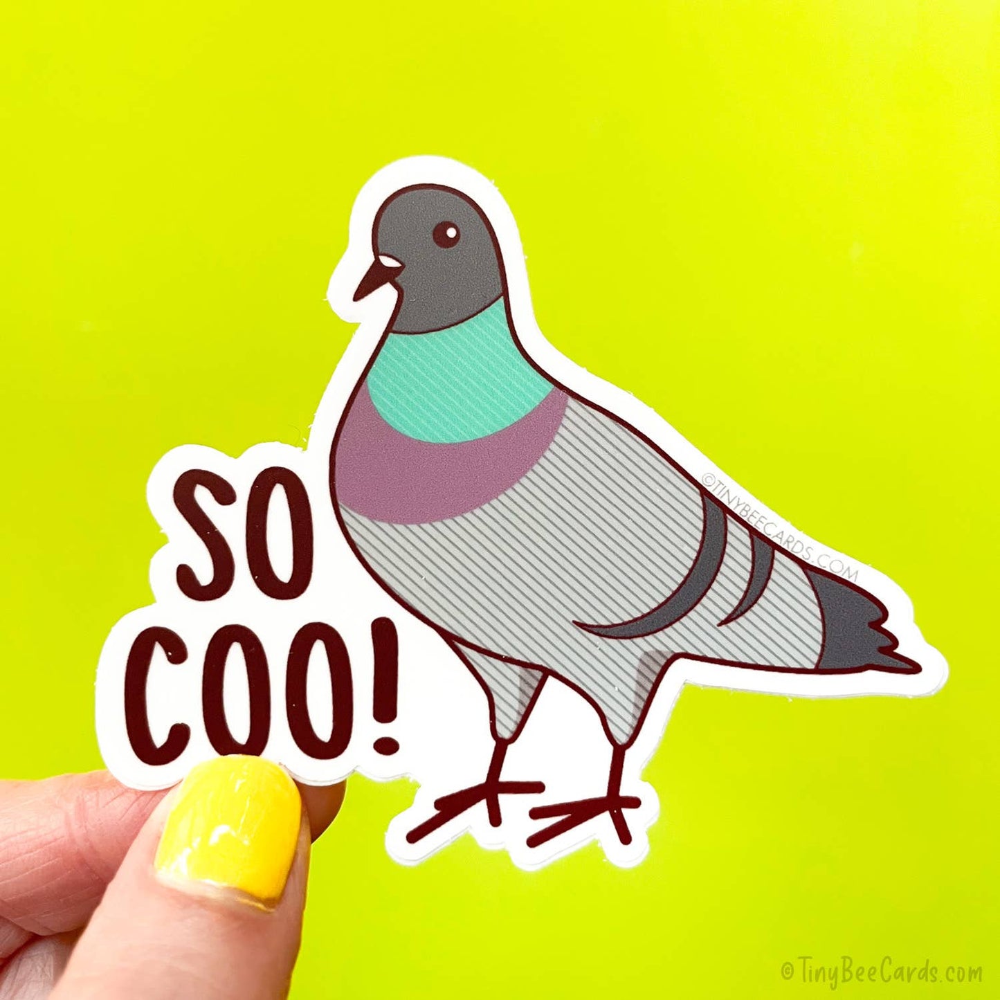 So Coo Pigeon Vinyl Sticker