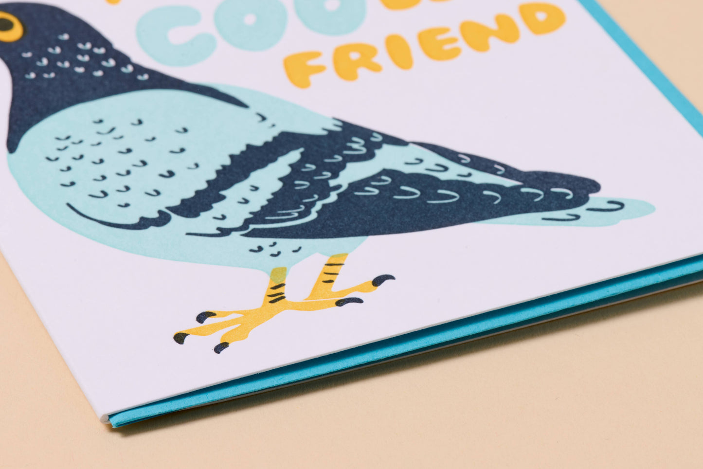 Coo Friend Pigeon Birthday Letterpress Card