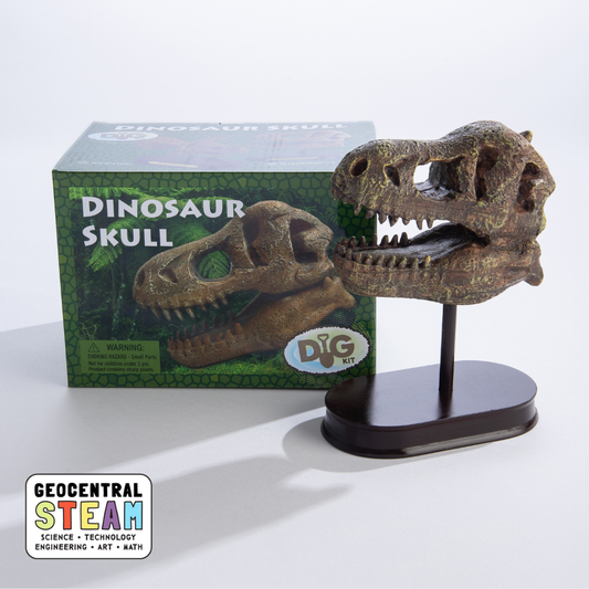 Dinosaur Skull Dig Kit
