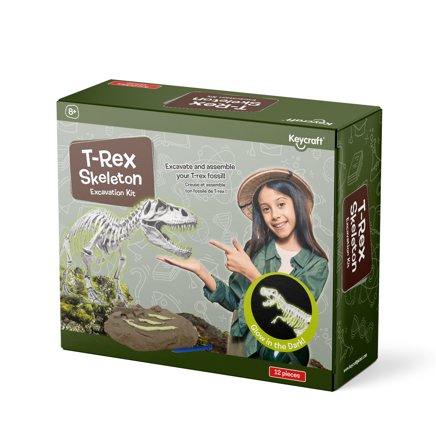 Glow in the Dark T-Rex Skeleton Excavation Kit