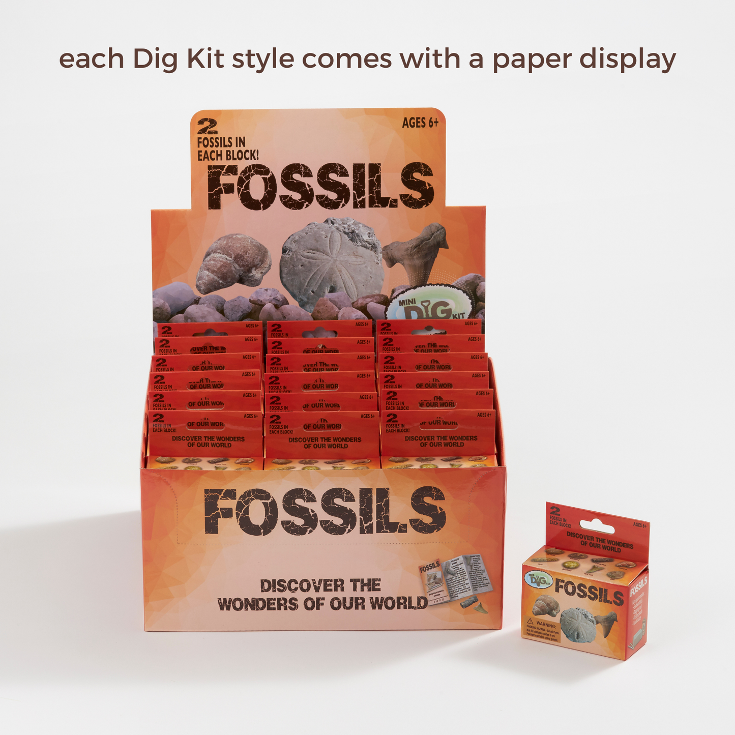 Dinosaurs Mini Dig Kit