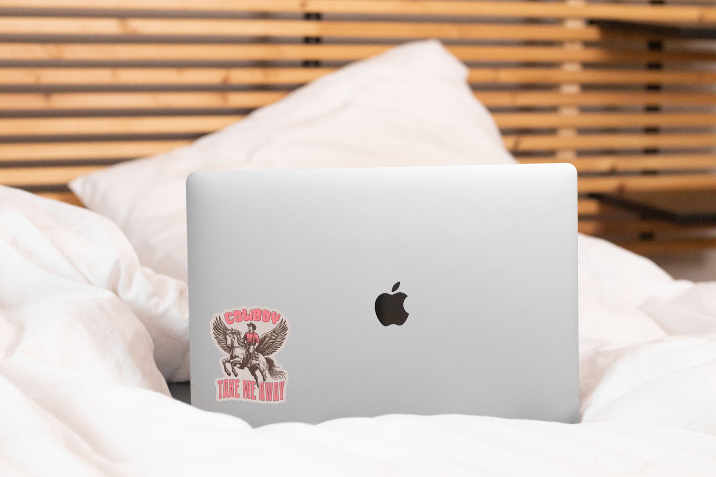 Cowboy Take Me Away Sticker