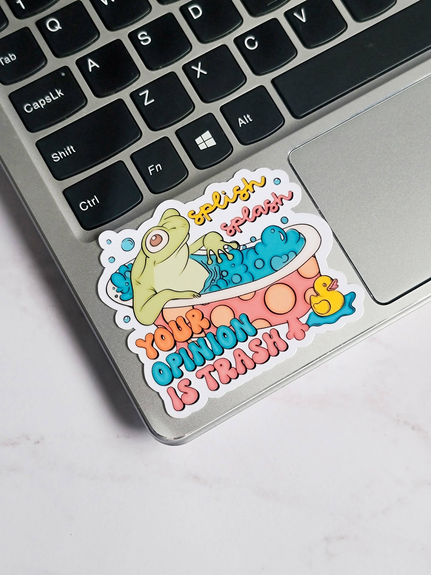 Splish Splash Your Opinion is Trash Sticker