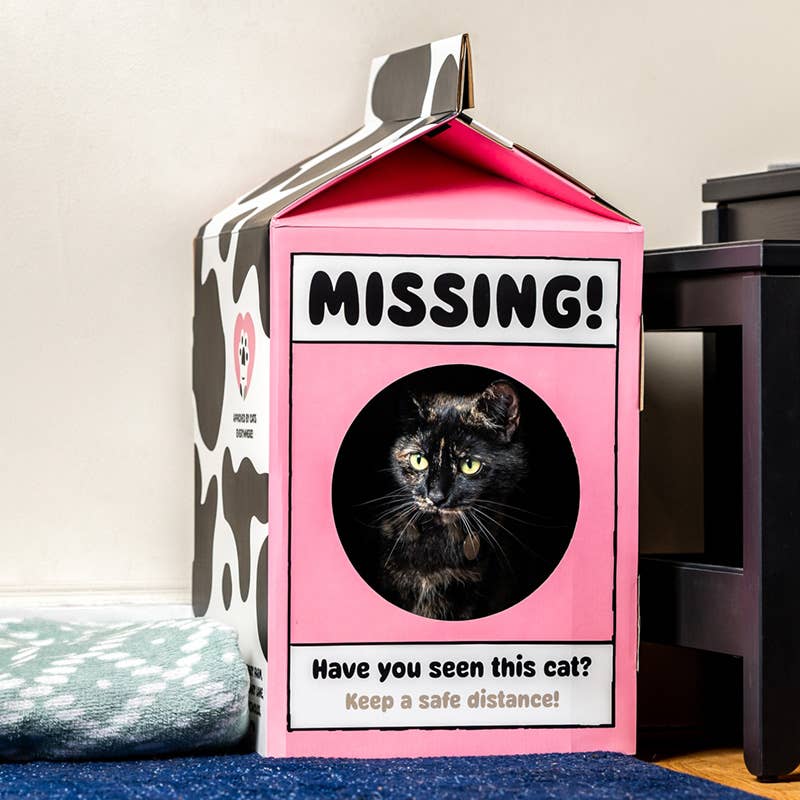 Milk Carton Shaped Cat Playhouse, Build it Yourself