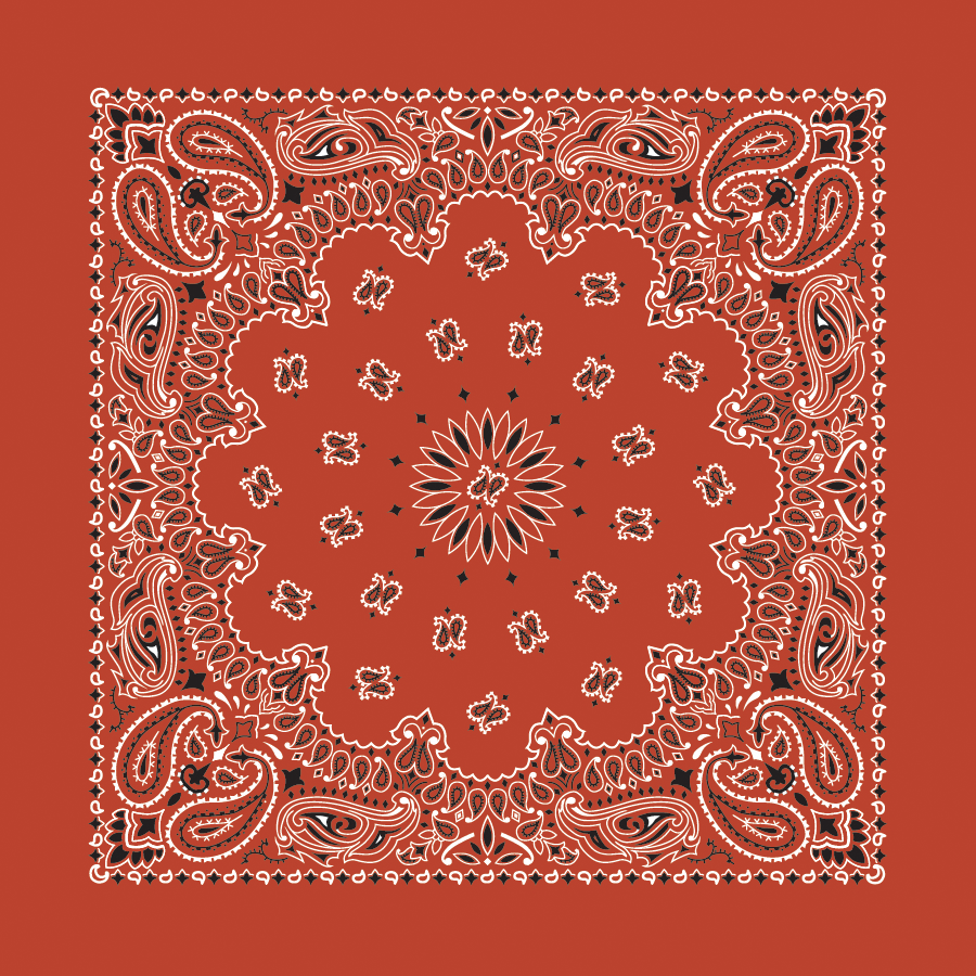 Terracotta Paisley Bandana