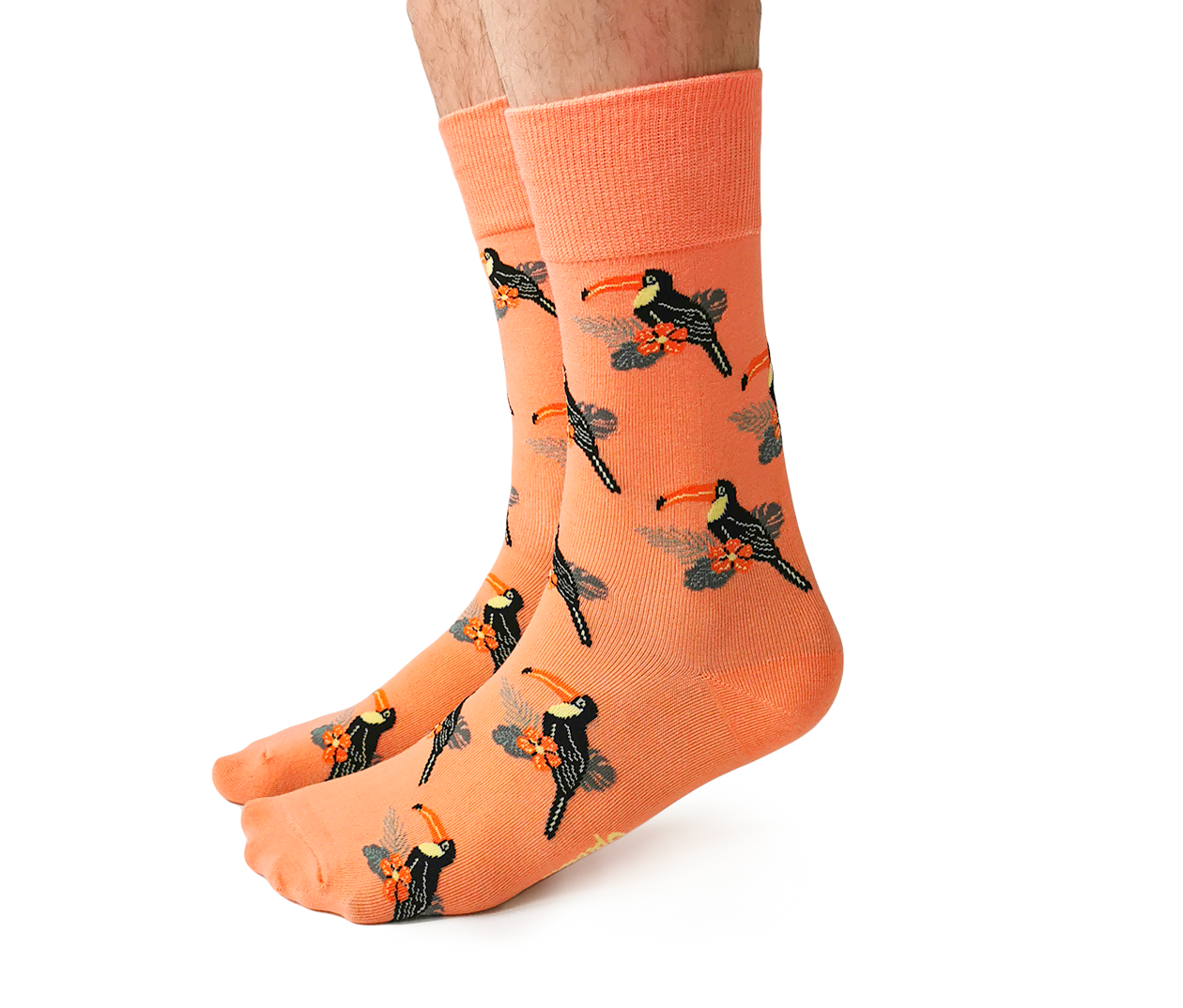 Toucan Play Socks