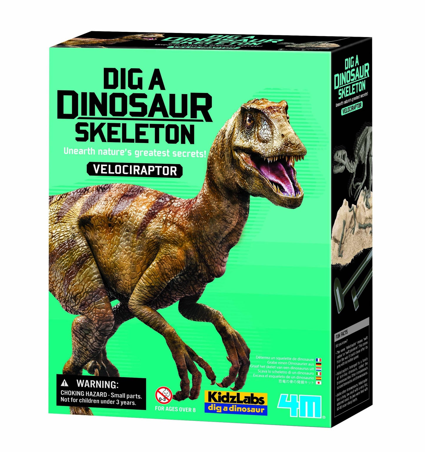 4M Dig-A-Dino Series II, Assortment, 3 Styles