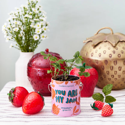 You are My Jam Grow Kits