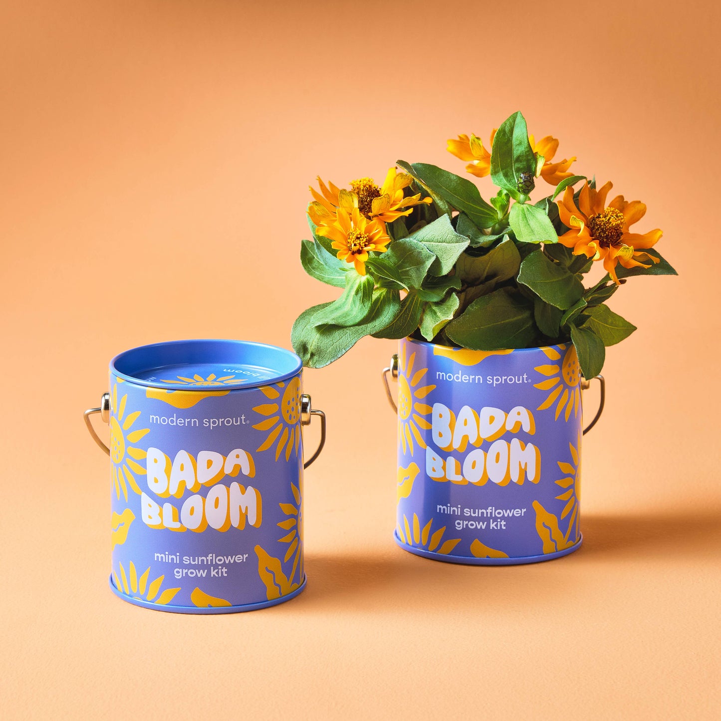 You are My Jam Grow Kits