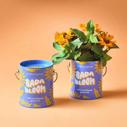 You are My Jam Grow Kits