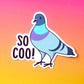 So Coo Pigeon Vinyl Sticker