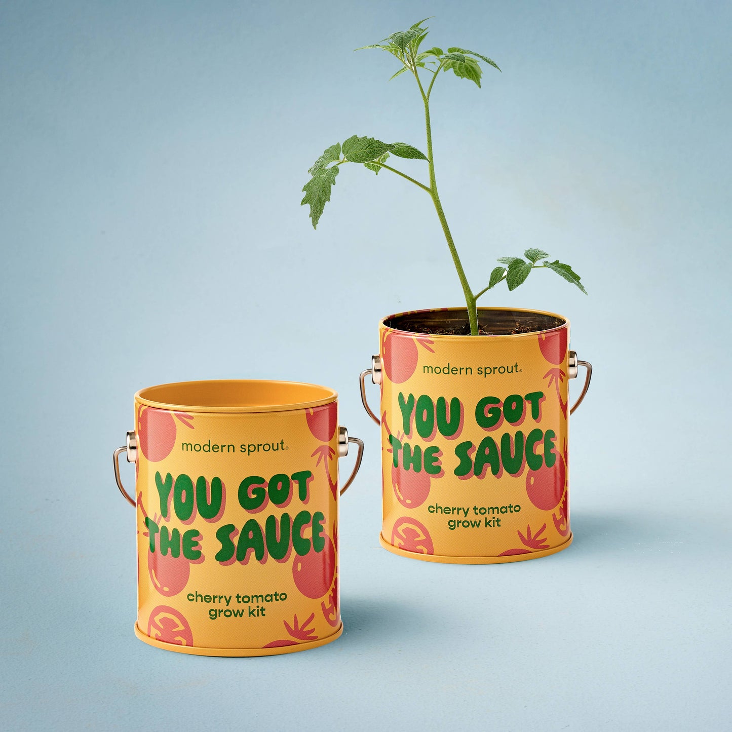 Bada Bloom Grow Kit