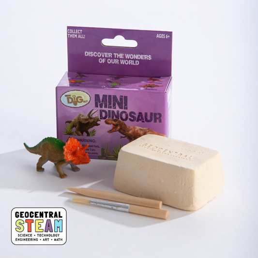 Dinosaurs Mini Dig Kit