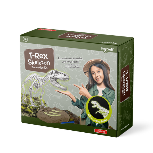 Glow in the Dark T-Rex Skeleton Excavation Kit