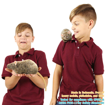 Reuben The Rat 7" Stuffed Animal