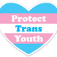 Protect Trans Youth Magnet