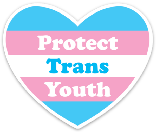 Protect Trans Youth Magnet