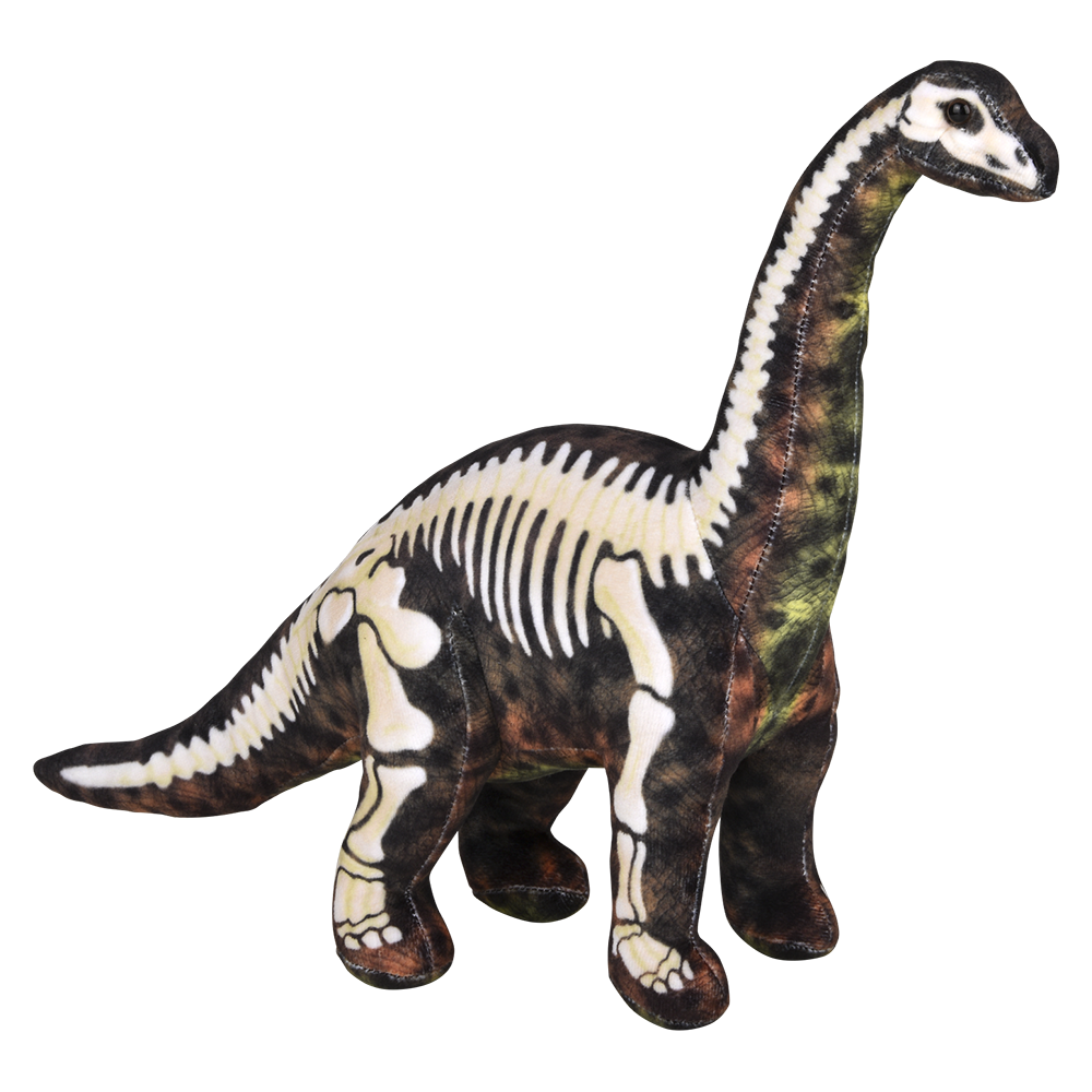 17.5" FOSSIL PRINT BRONTOSAURUS
