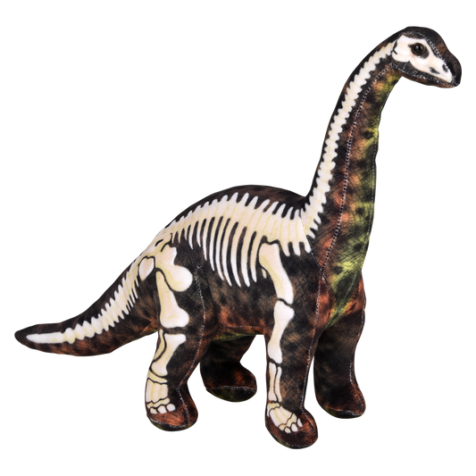 17.5" FOSSIL PRINT BRONTOSAURUS