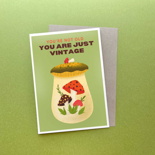 Your Not Old, You Are Just Vintage Birthday Greeting Card