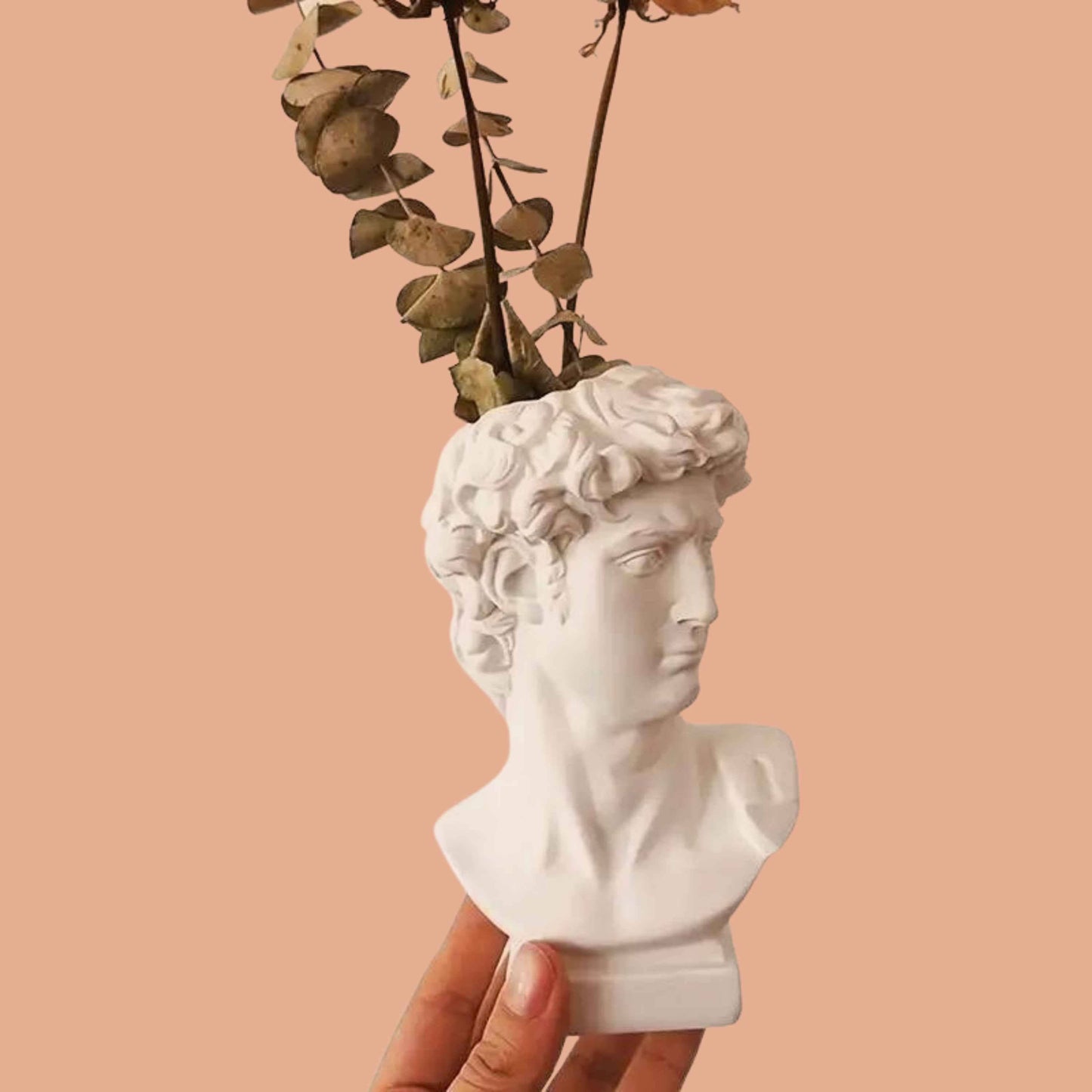 David Greek Vase