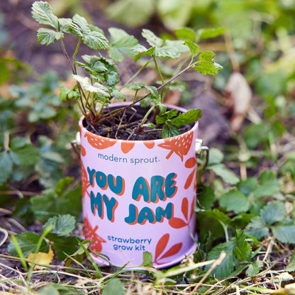 Bada Bloom Grow Kit