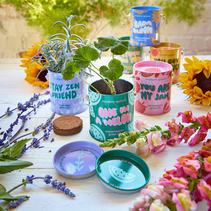 Bada Bloom Grow Kit