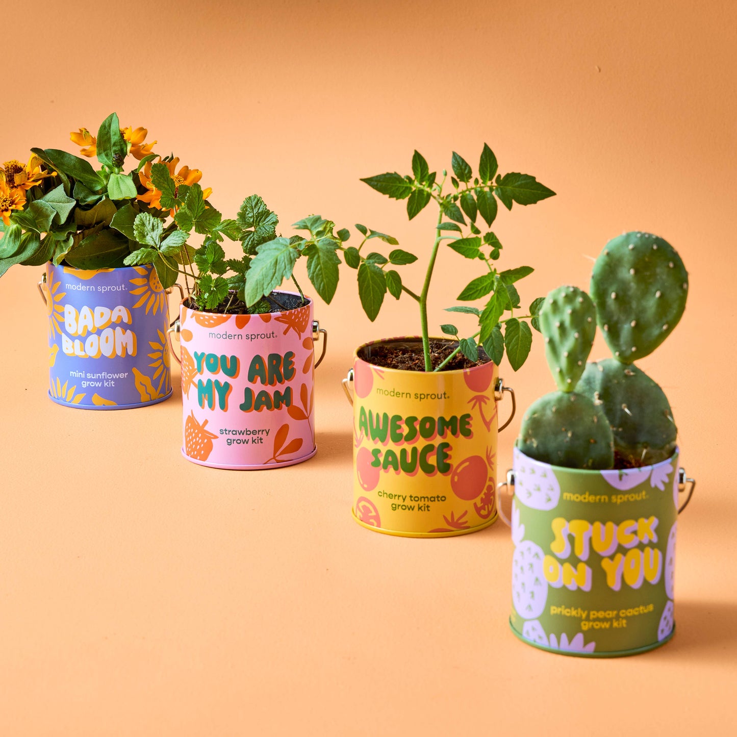 You are My Jam Grow Kits