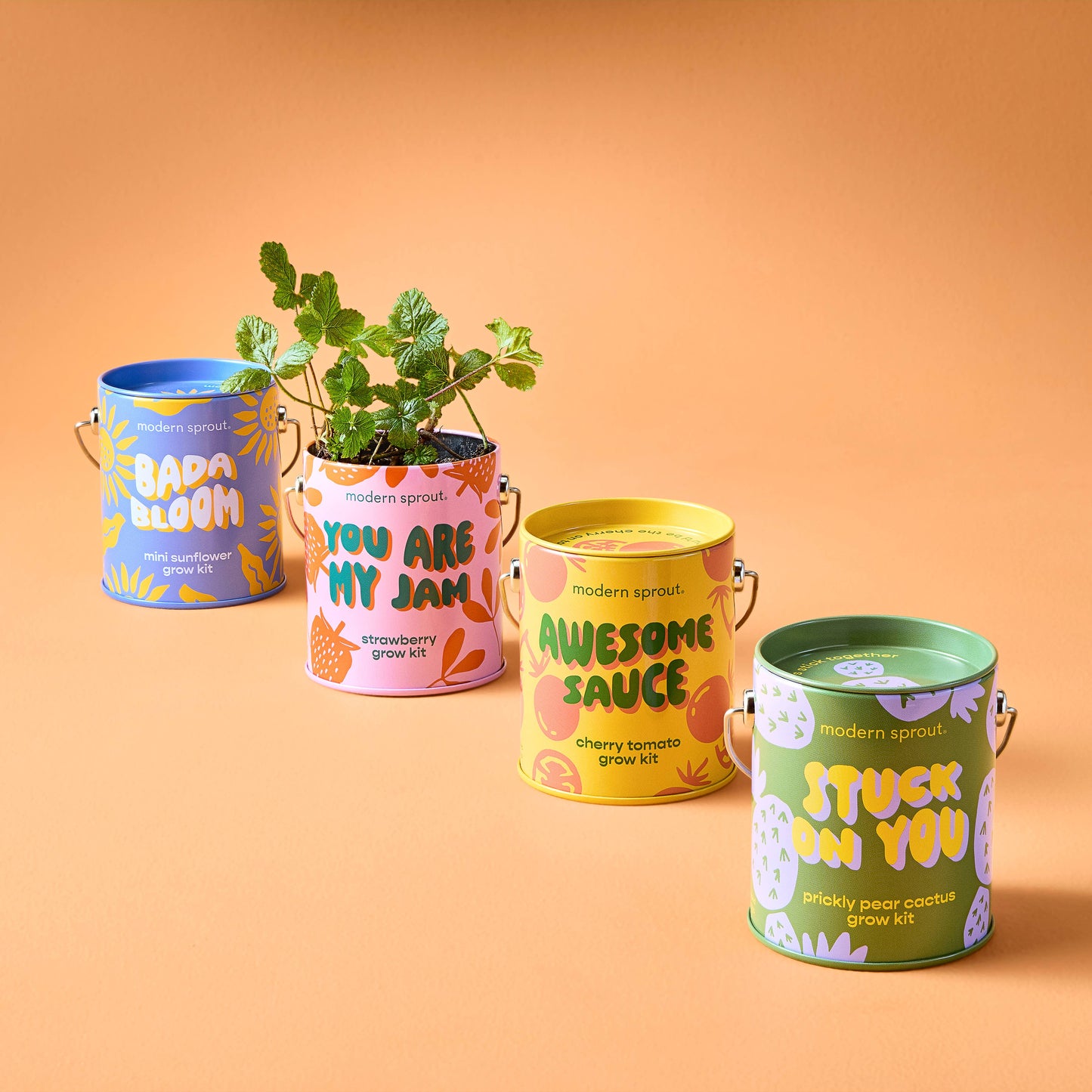 You are My Jam Grow Kits