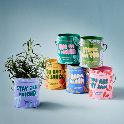 Bada Bloom Grow Kit