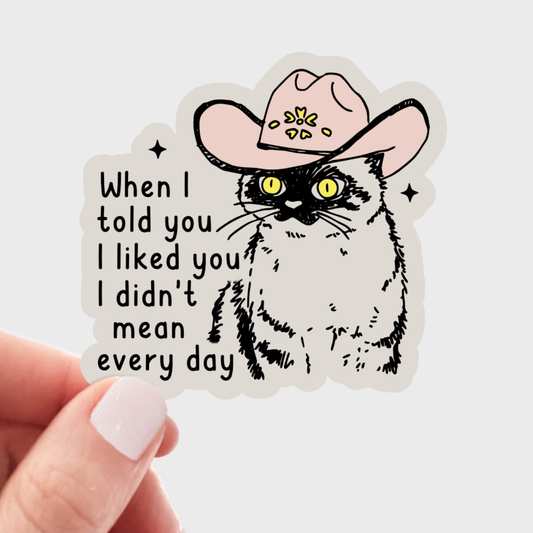 When I Told You I Liked You I Didn't Mean Every Day Sticker