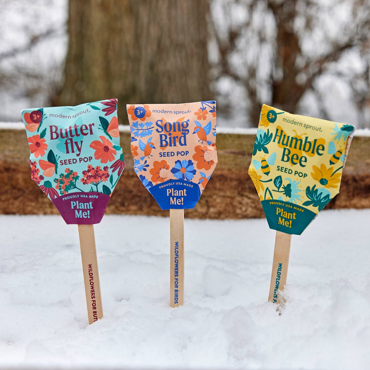 Humble Bee Pollinator Seed Pop