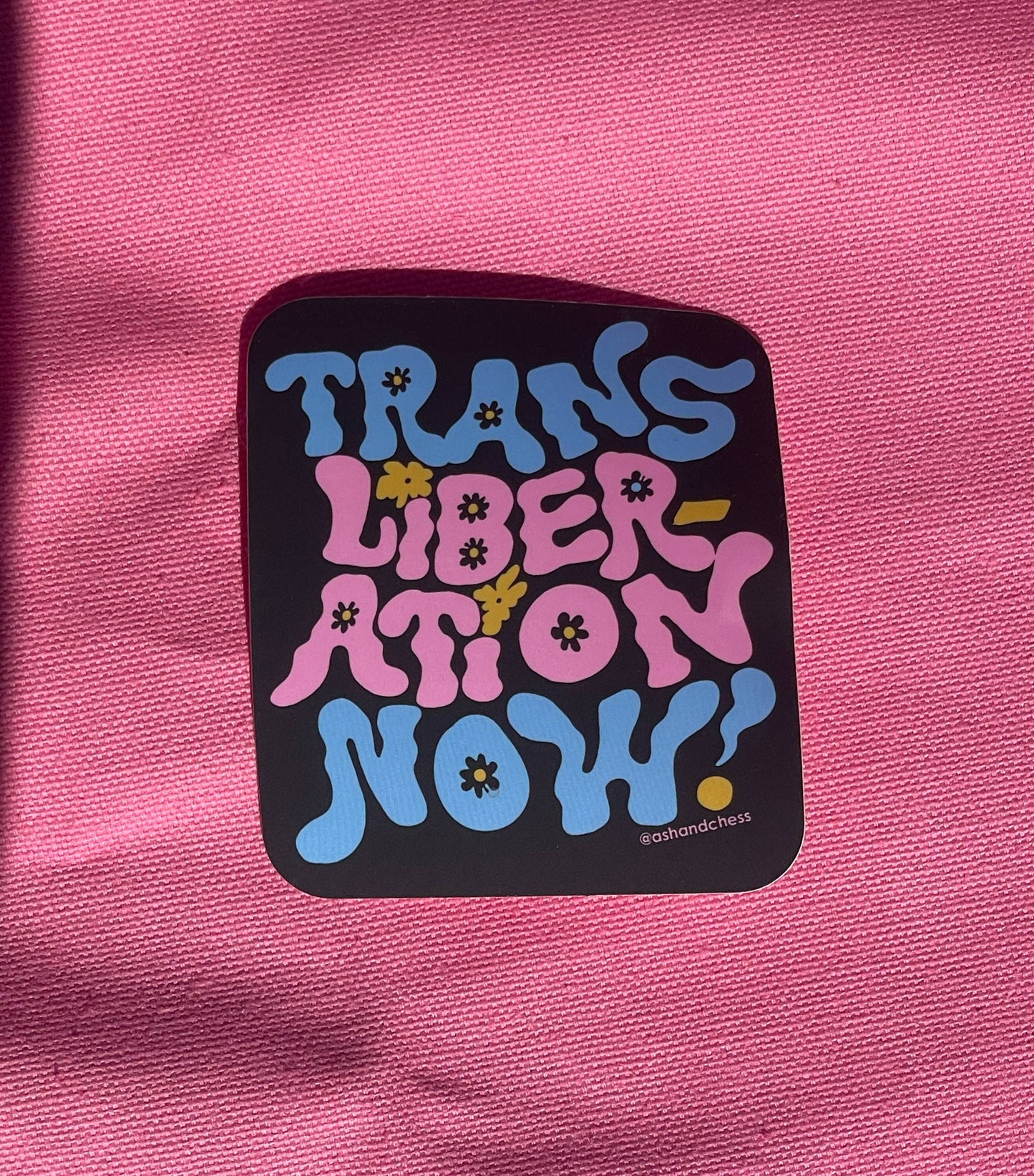 Trans Liberation Now Sticker