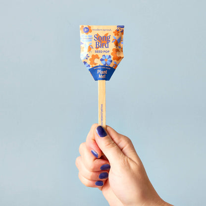 Humble Bee Pollinator Seed Pop