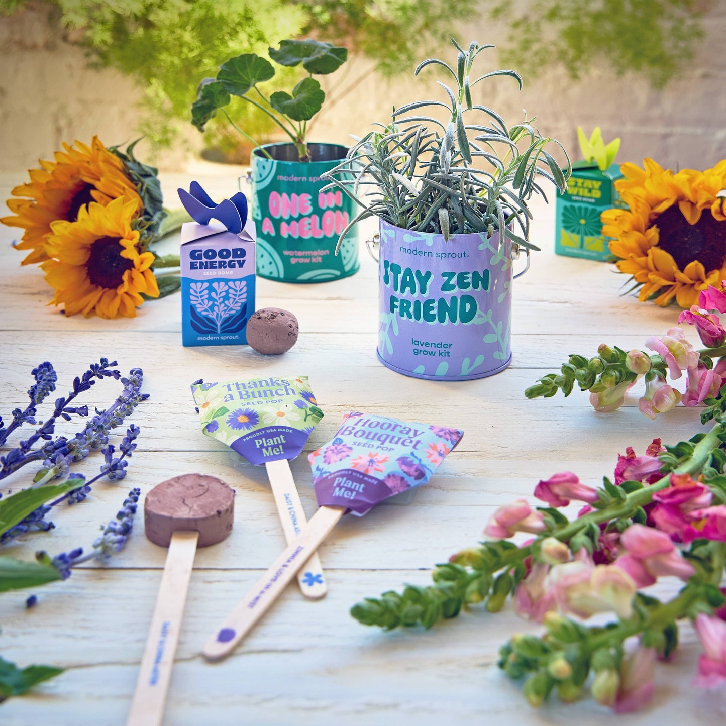 Stay Wild Refresh Seed Bomb
