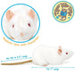 Wylie the White Rat 7" Stuffed Animal