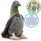 Pepper The Pigeon 9" Stuffed Animal