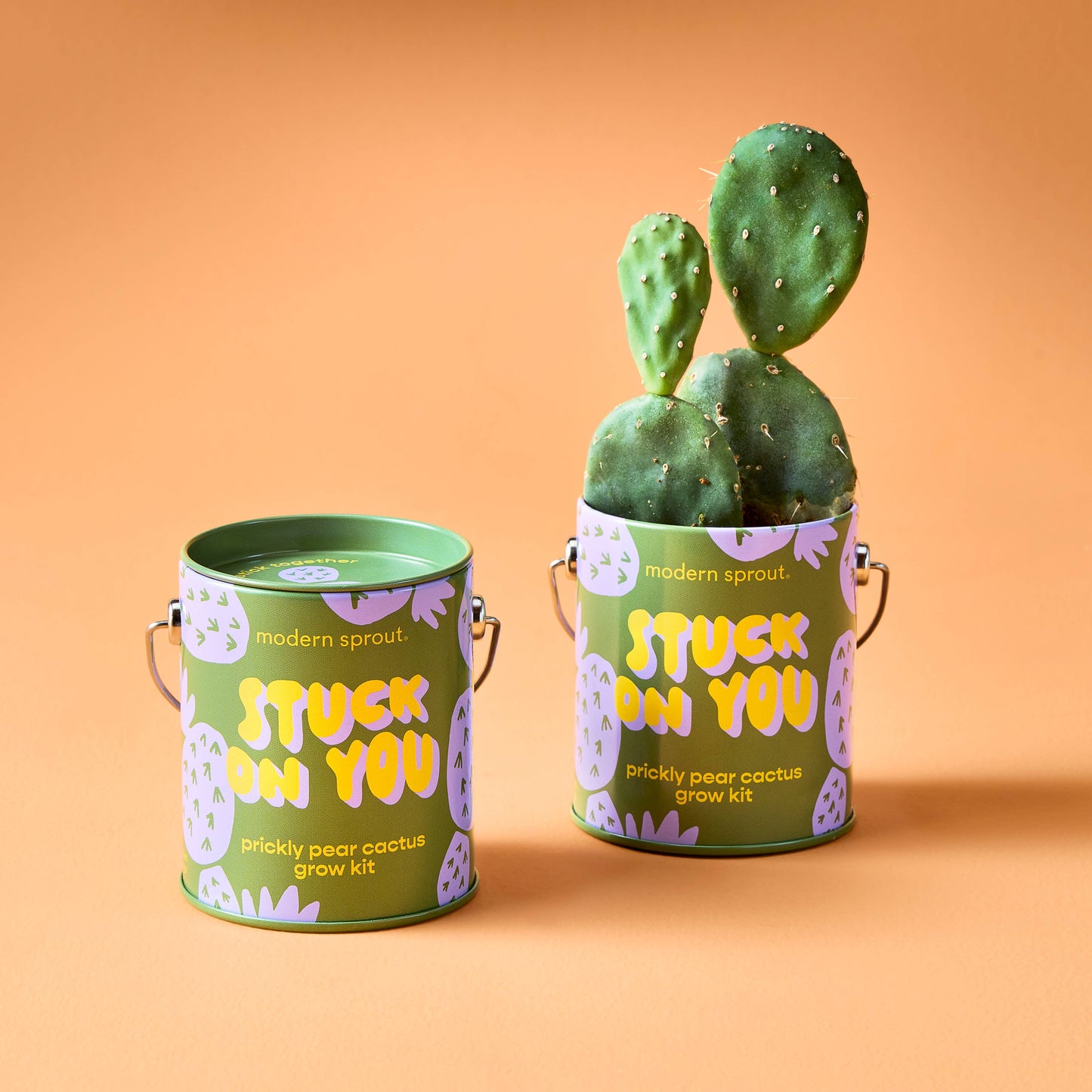 Stuck on You Grow Kit