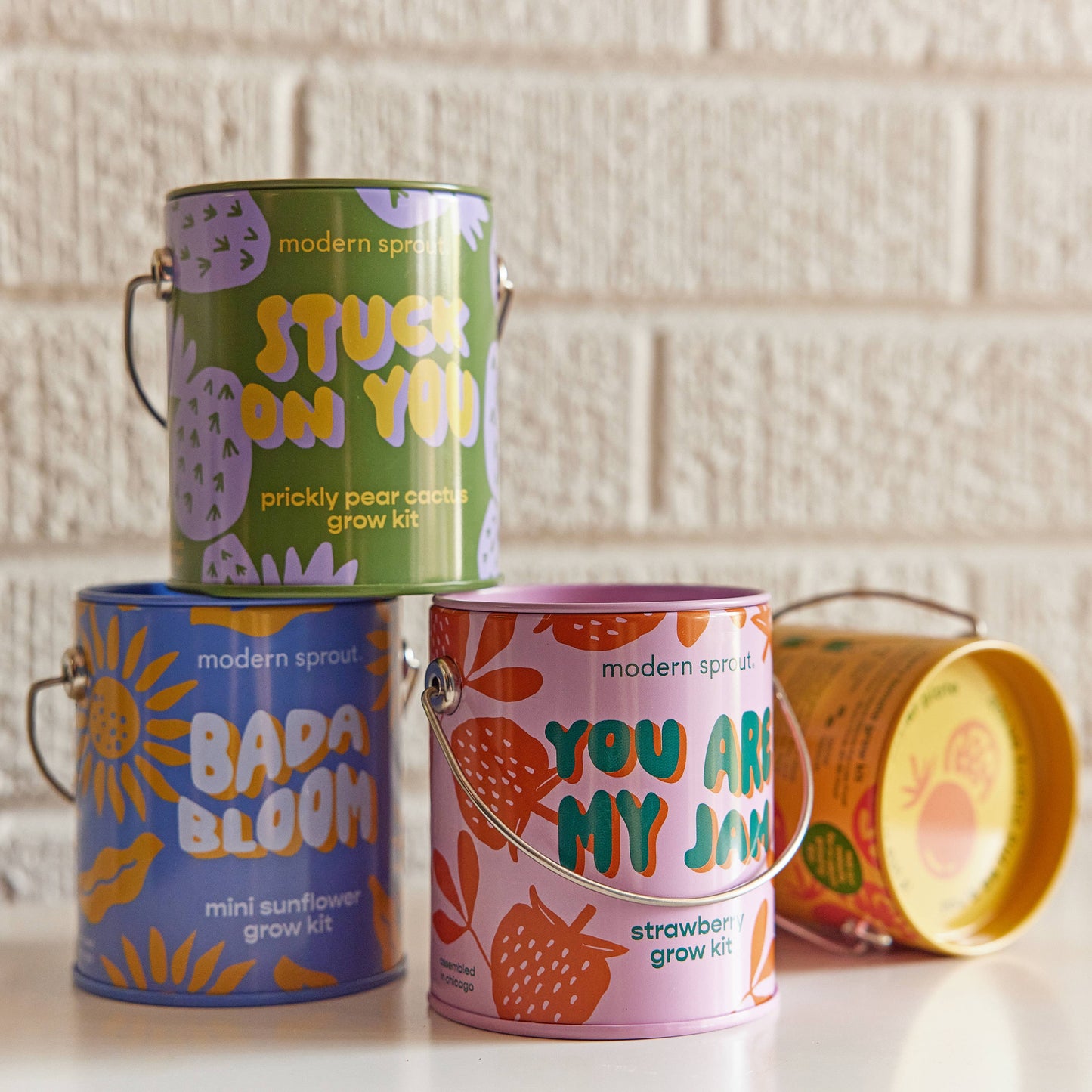 Bada Bloom Grow Kit