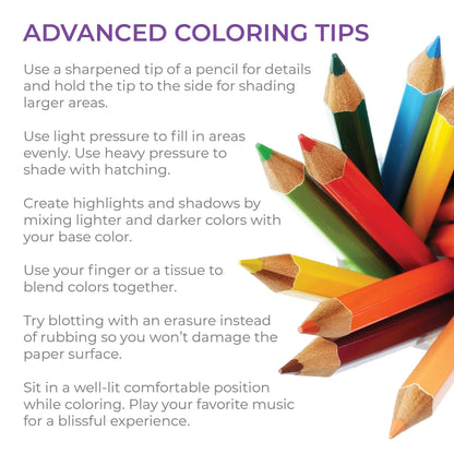 Colors and Recreation Pencils
