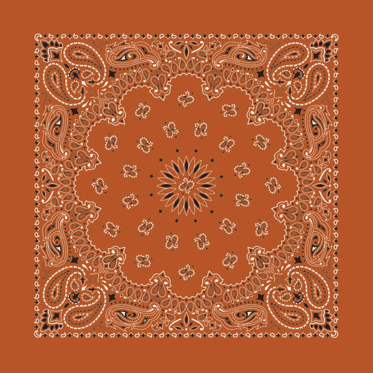 Burnt Orange Paisley Bandana