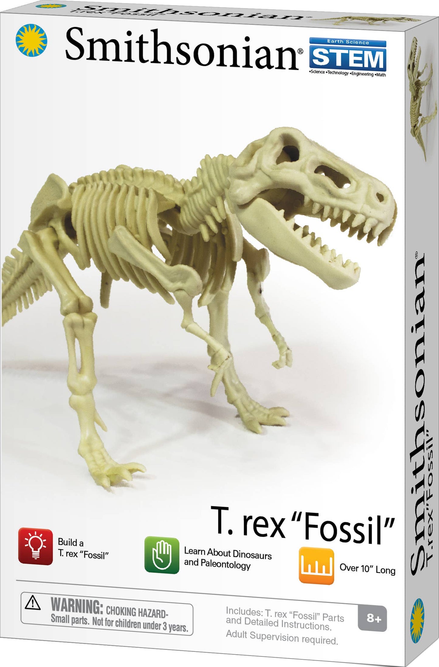 Smithsonian Dinosaur Fossils T-Rex Value Set