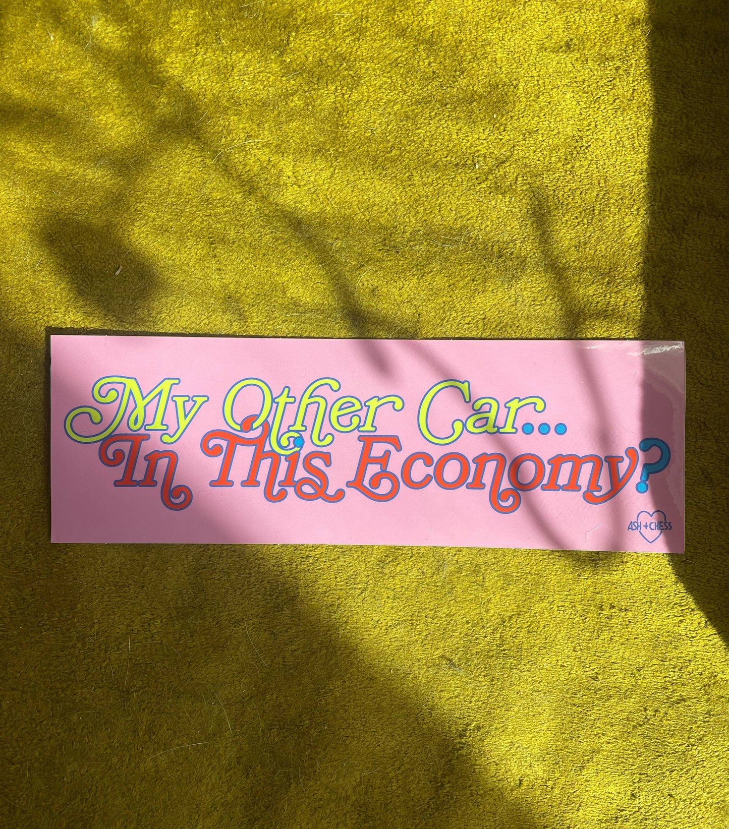 My Other Car In This Economy Bumper Sticker