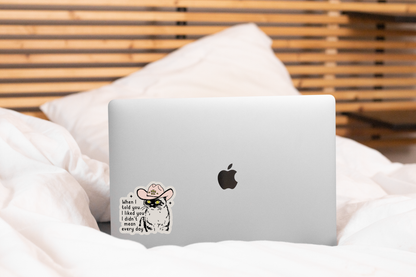 When I Told You I Liked You I Didn't Mean Every Day Sticker