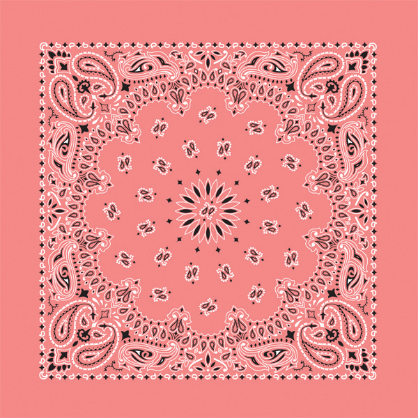 Strawberry Paisley Bandana
