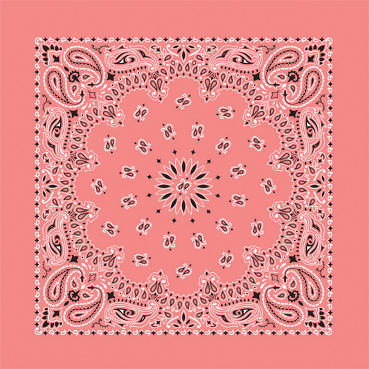 Strawberry Paisley Bandana