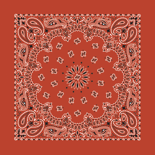 Terracotta Paisley Bandana