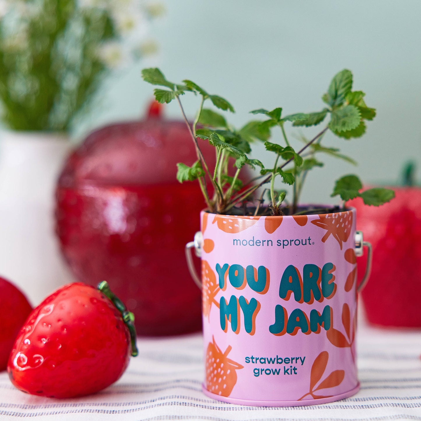 Bada Bloom Grow Kit