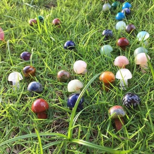 Mini Mushrooms, Assorted