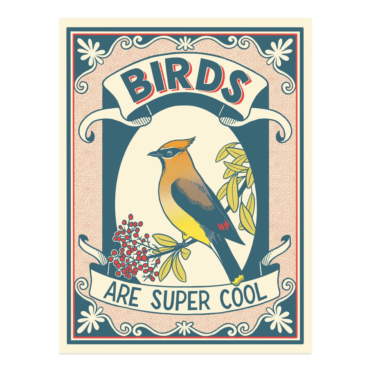 Birds Are Super Cool Print